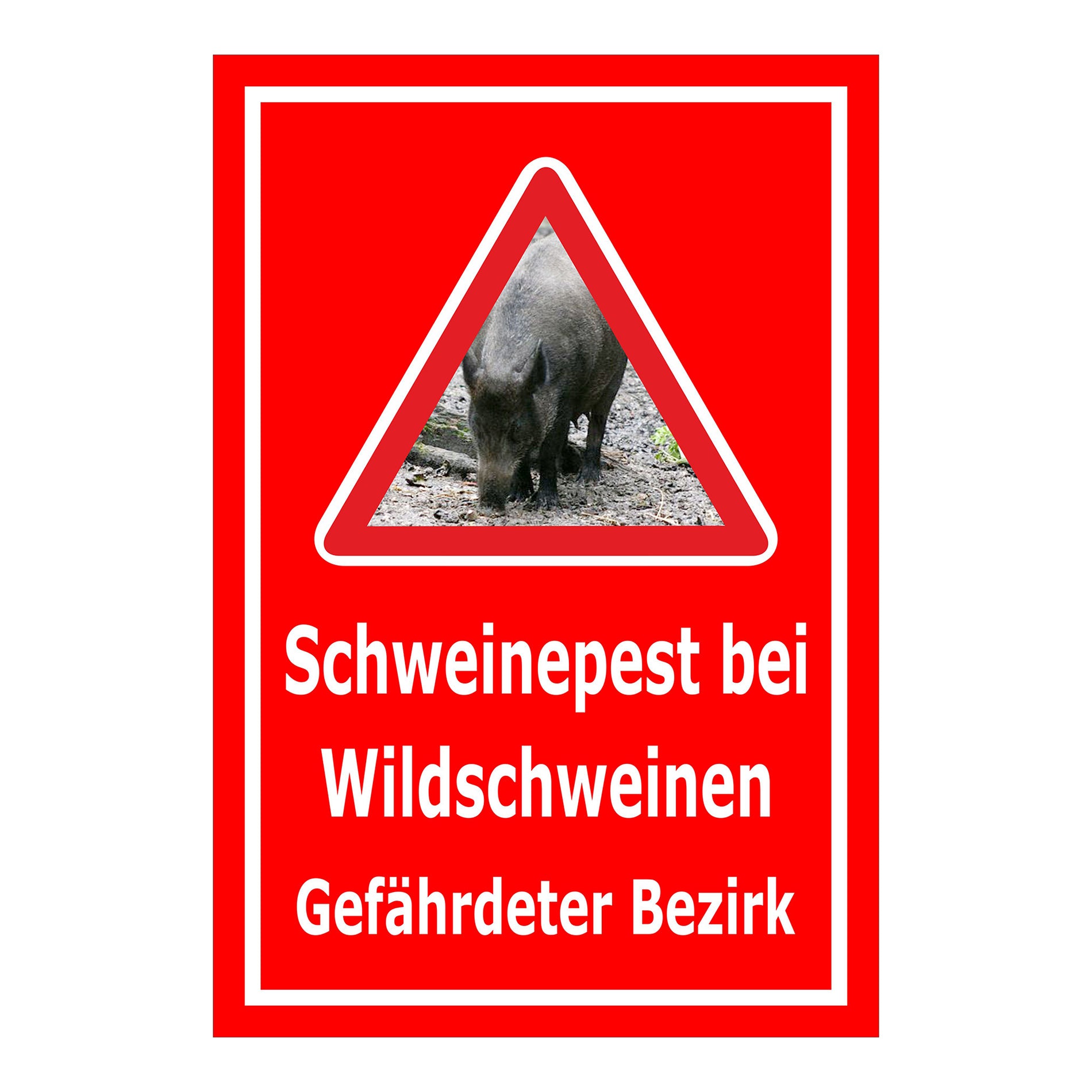 Schild Schweinepest bei Wildschweinen Gefährdeter Bezirk in Rot mit weißem Rand