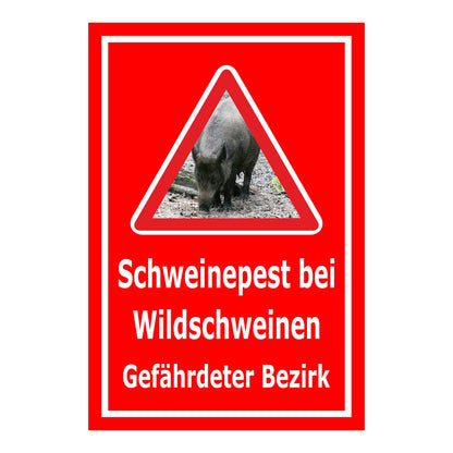 Schild Schweinepest bei Wildschweinen Gefährdeter Bezirk in Rot mit weißem Rand