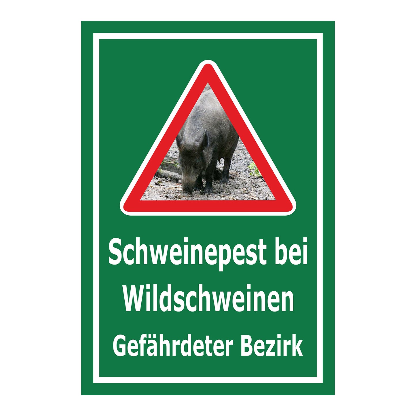 Schild Schweinepest bei Wildschweinen Gefährdeter Bezirk in Grün mit weißem Rand