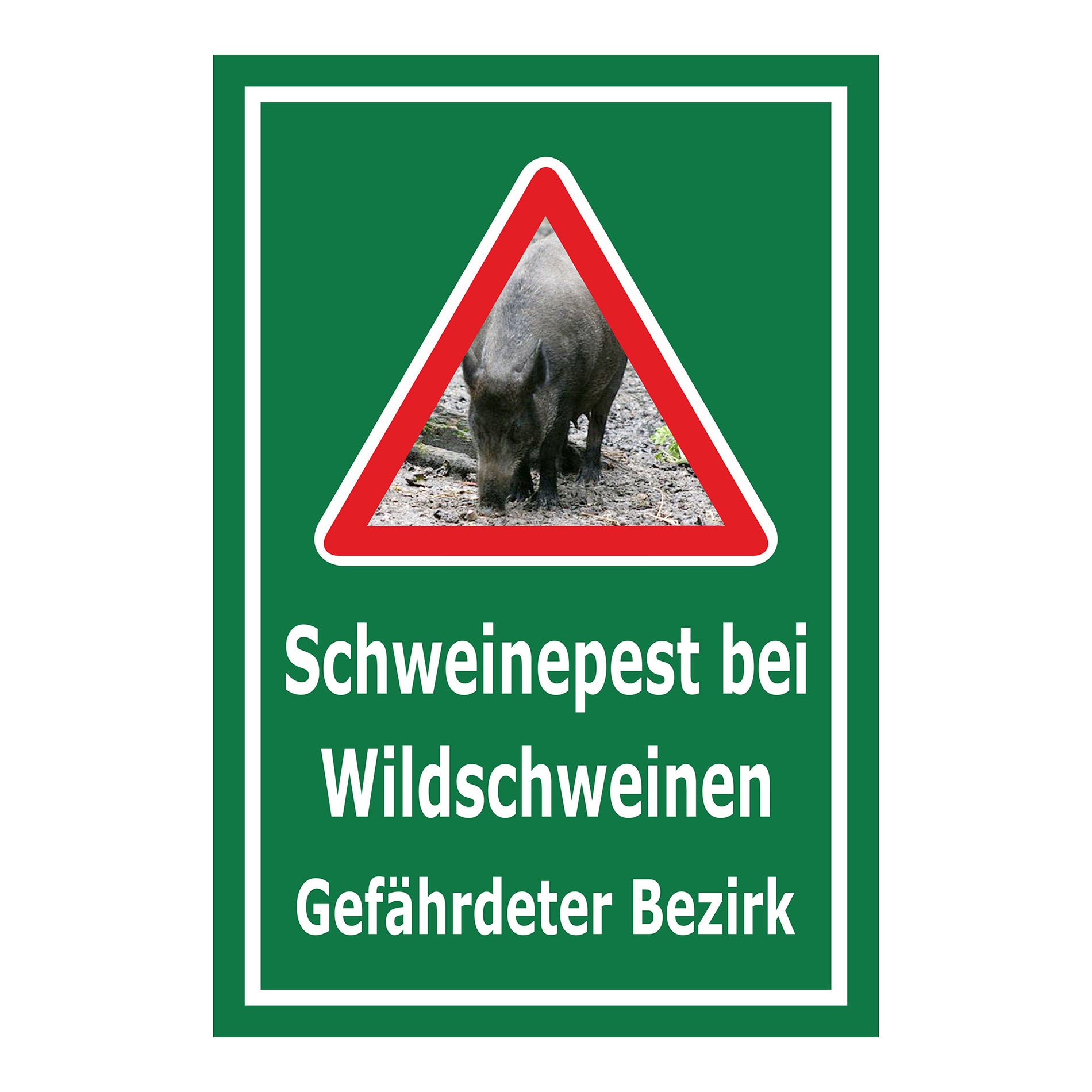 Schild Schweinepest bei Wildschweinen Gefährdeter Bezirk in Grün mit weißem Rand