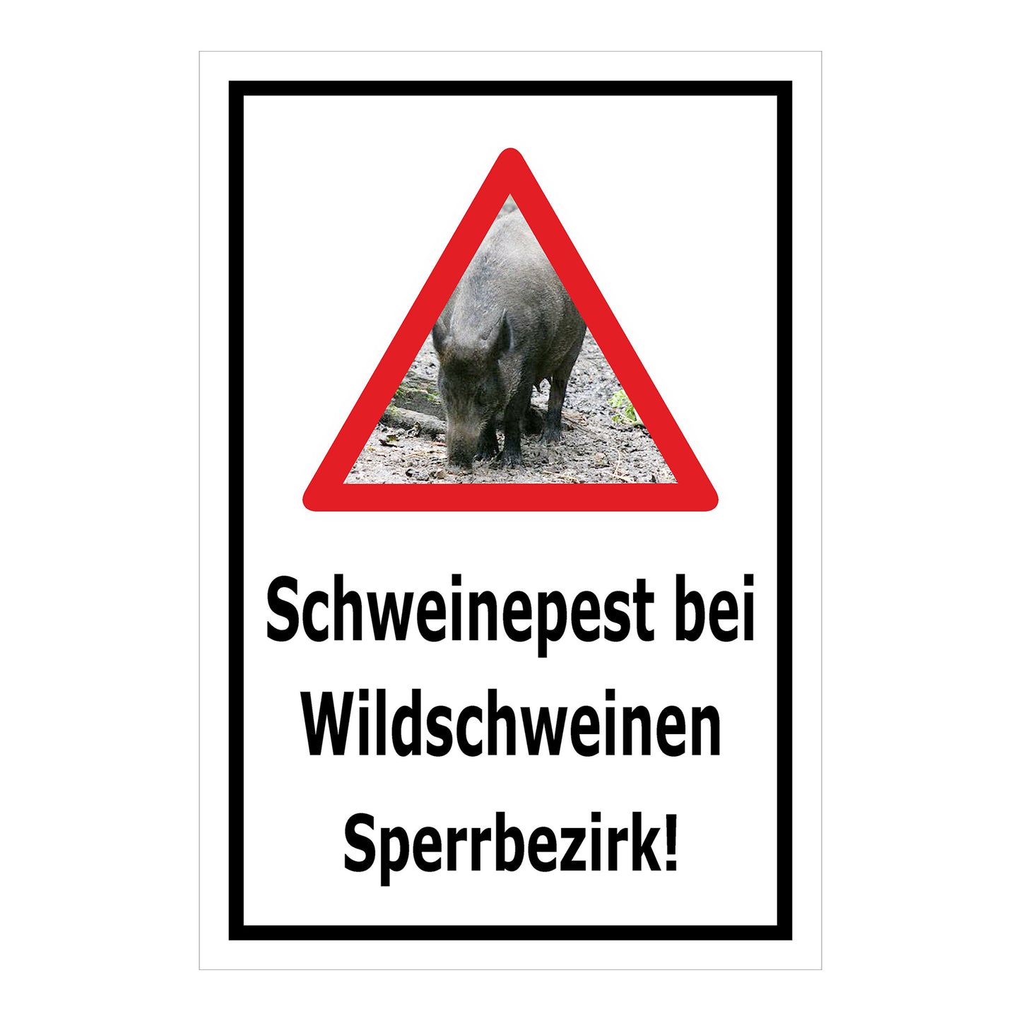 Schild Schweinepest bei Wildschweinen Sperrbezirk Hinweis in Weiß mit schwarzem Rand und rotem Warn-Dreieck mit Wildschwein