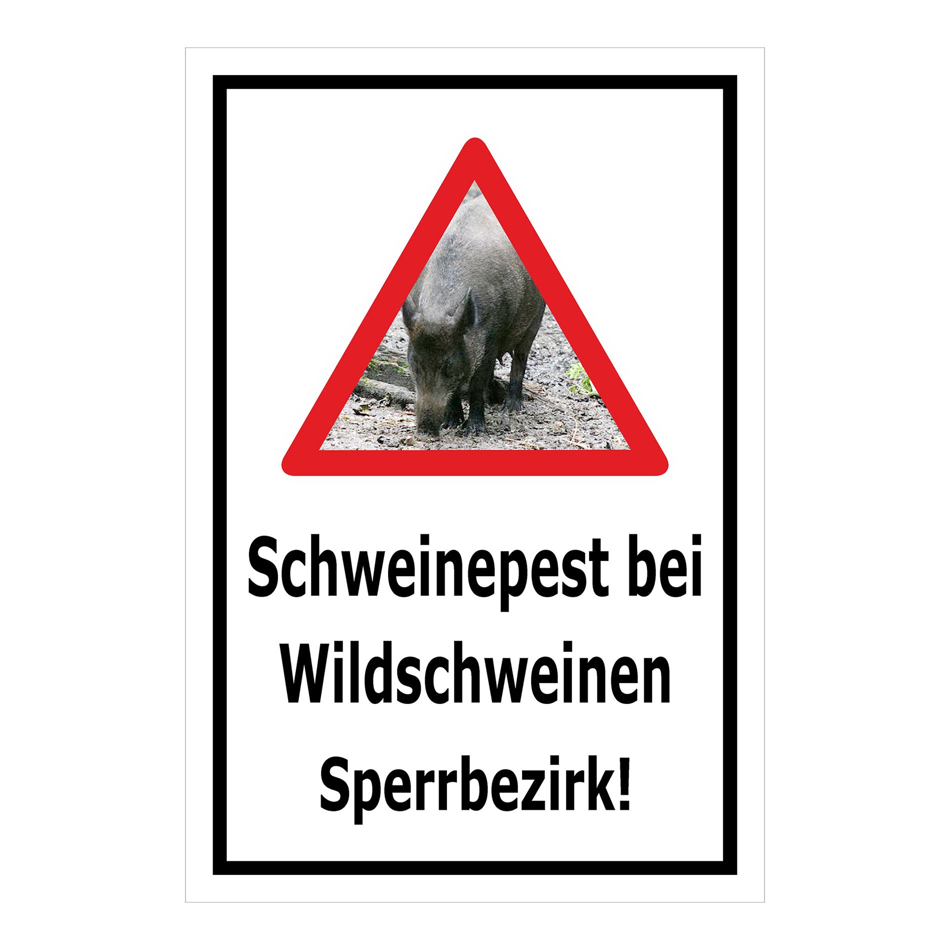 Schild Schweinepest bei Wildschweinen Sperrbezirk Hinweis in Weiß mit schwarzem Rand und rotem Warn-Dreieck mit Wildschwein