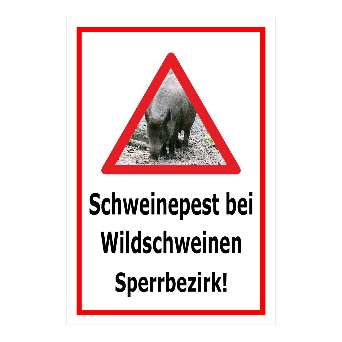 Schild Schweinepest bei Wildschweinen Sperrbezirk Hinweis in Weiß mit rotem Rand und Warn-Dreieck mit Wildschwein