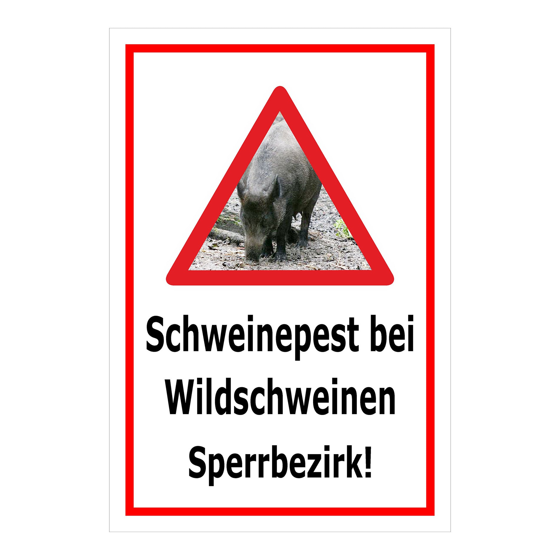 Schild Schweinepest bei Wildschweinen Sperrbezirk Hinweis in Weiß mit rotem Rand und Warn-Dreieck mit Wildschwein