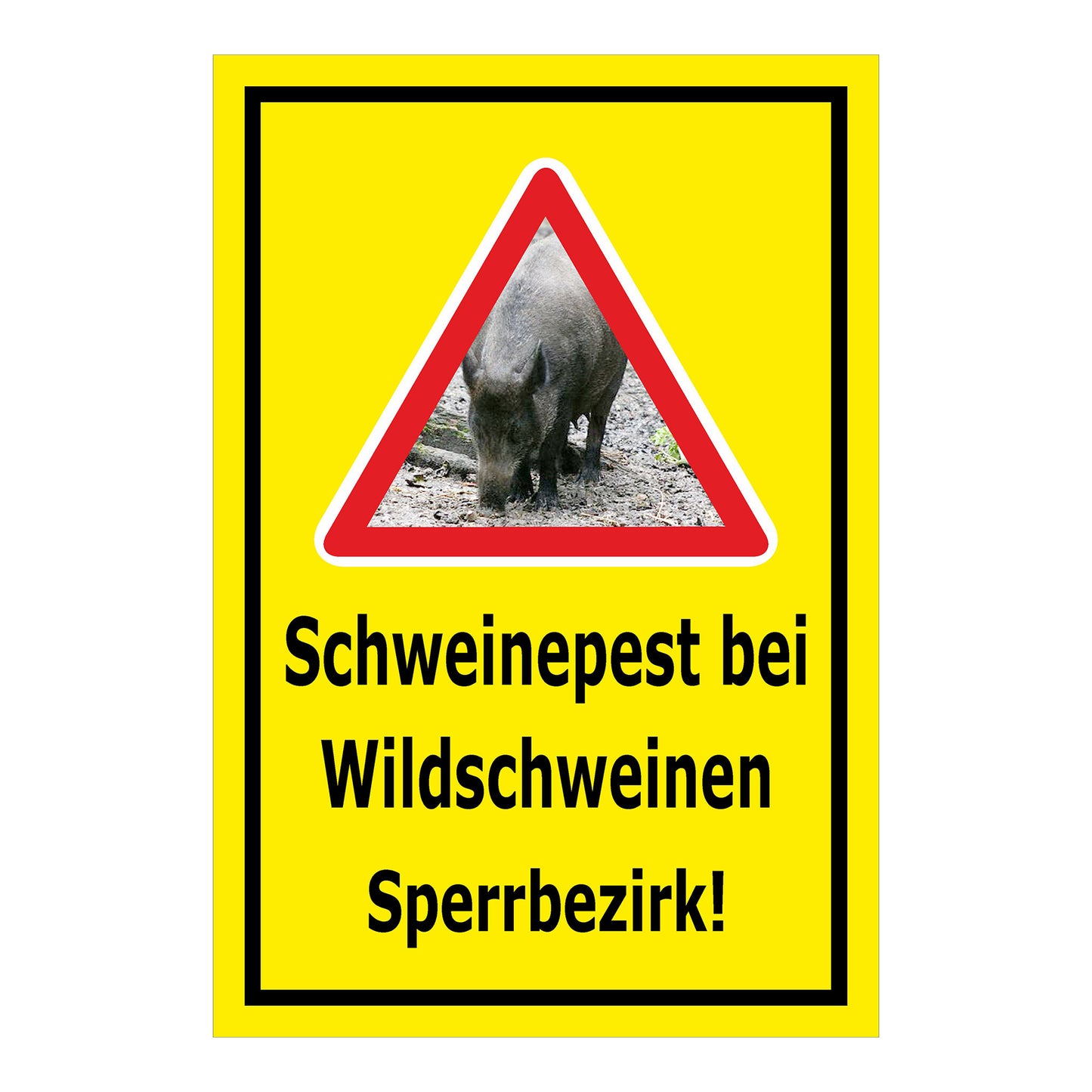 Schild Schweinepest bei Wildschweinen Sperrbezirk Hinweis in Gelb mit schwarzem Rand und Warn-Dreieck mit Wildschwein