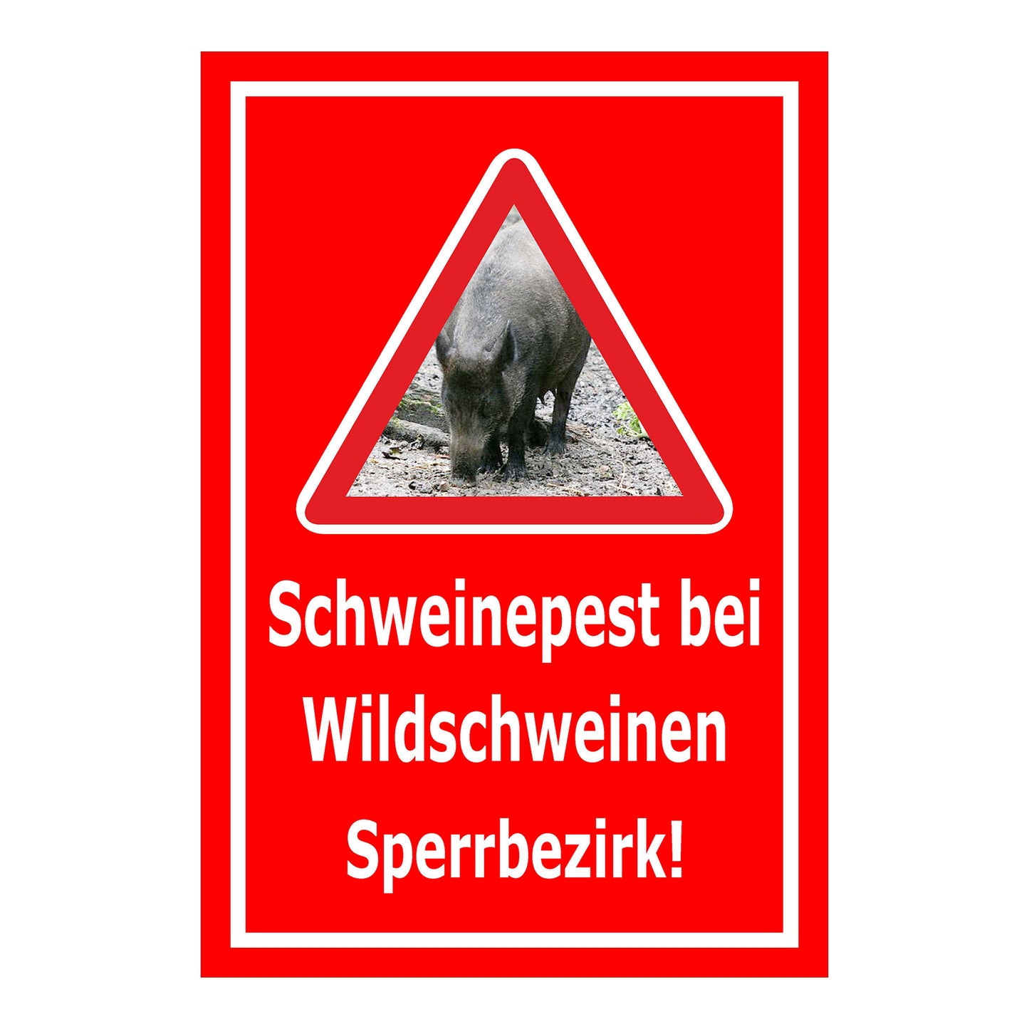 Schild Schweinepest bei Wildschweinen Sperrbezirk Hinweis in Rot mit weißem Rand und weißer Schrift