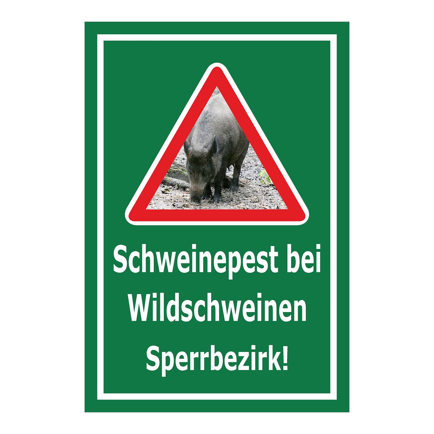 Schild Schweinepest bei Wildschweinen Sperrbezirk Hinweis in Grün mit weißem Rand und weißer Schrift