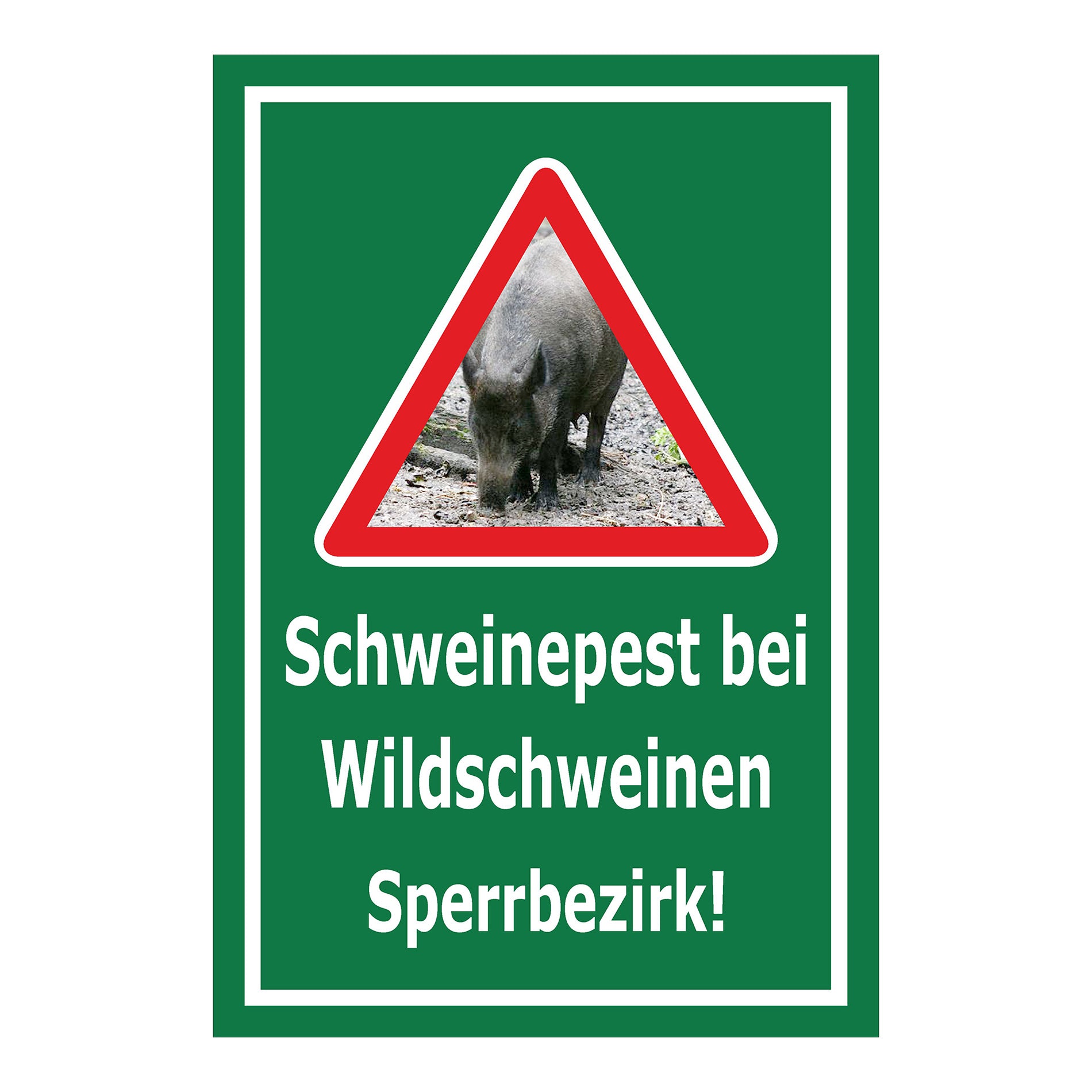 Schild Schweinepest bei Wildschweinen Sperrbezirk Hinweis in Grün mit weißem Rand und weißer Schrift