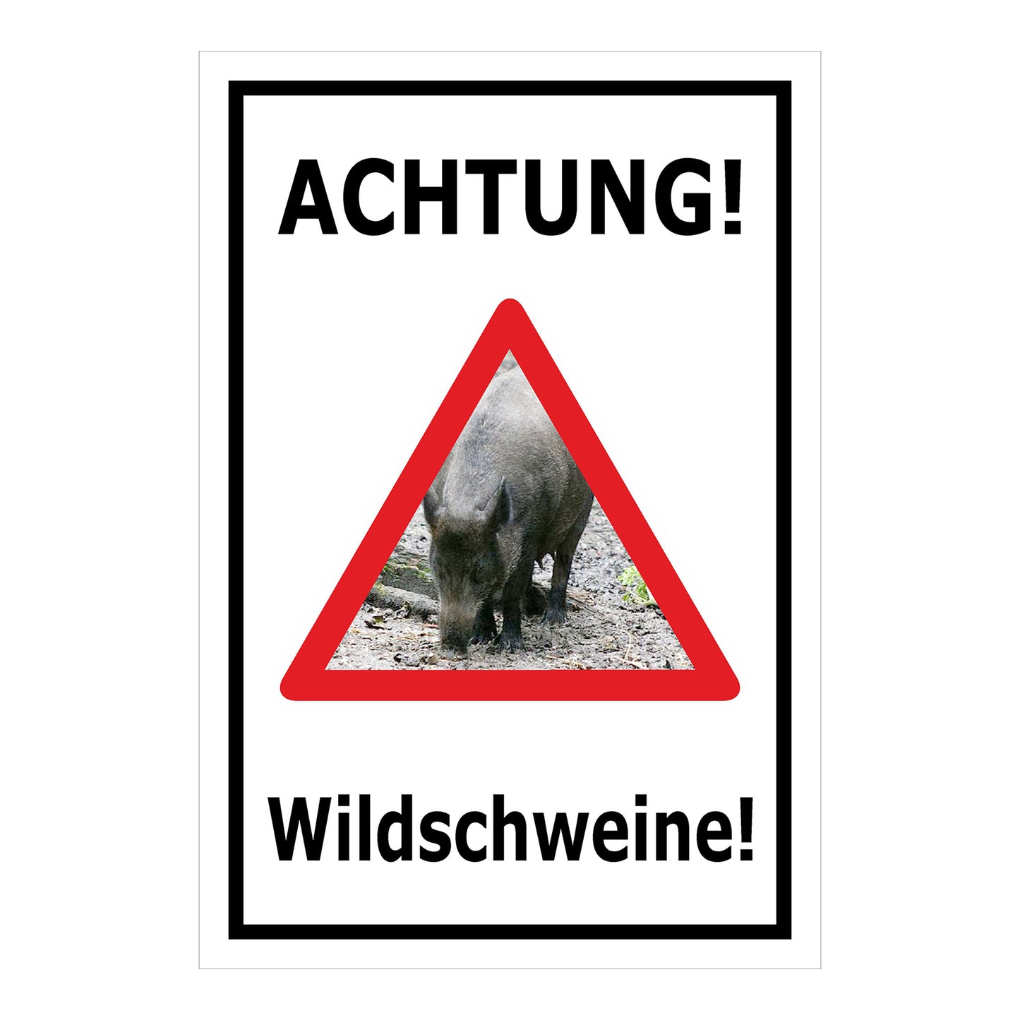 Schild Achtung Wildschweine Warnhinweis mit Wildschweinmotiv in Weiß mit schwarzem Rand