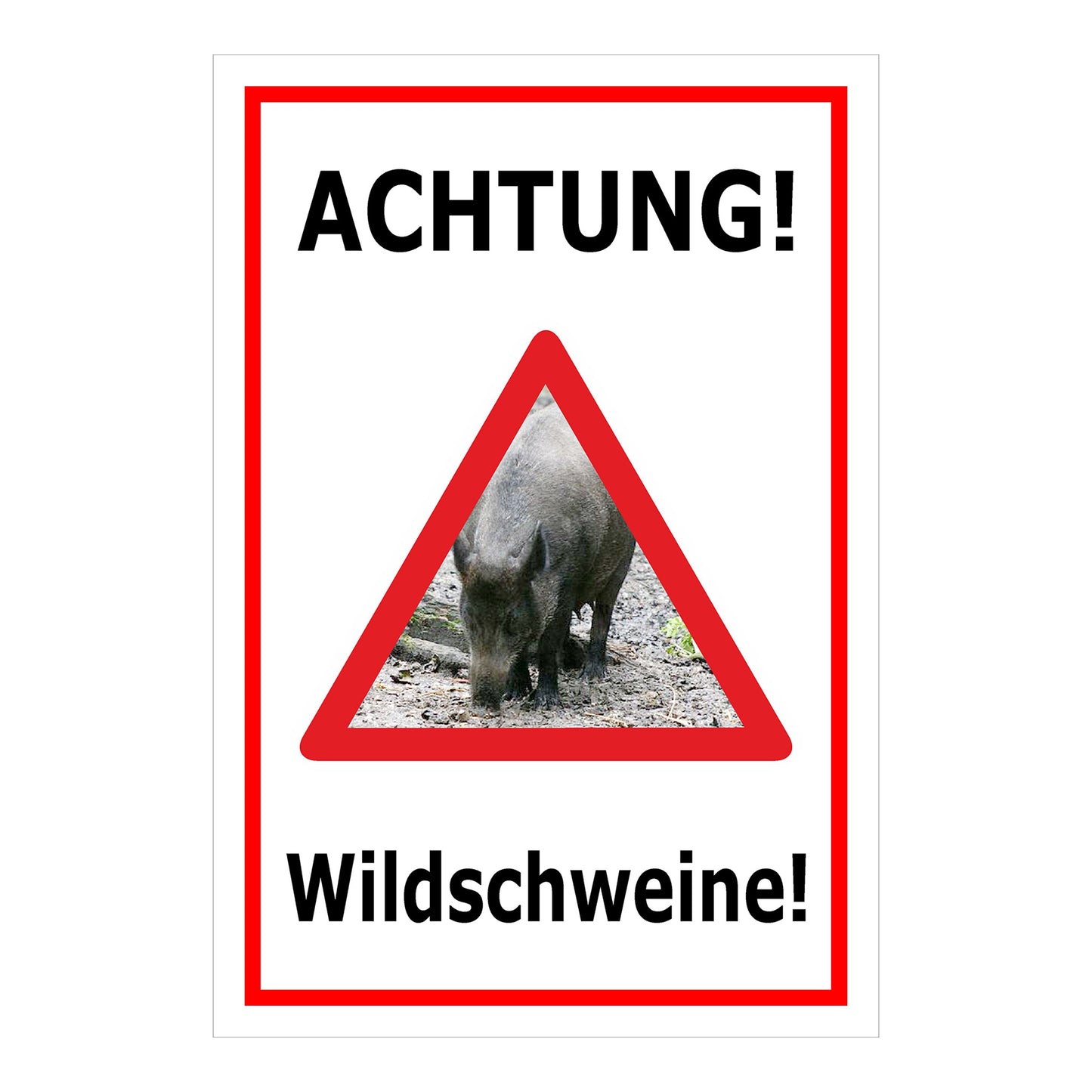 Schild Achtung Wildschweine Warnhinweis mit Wildschweinmotiv in Weiß mit rotem Rand