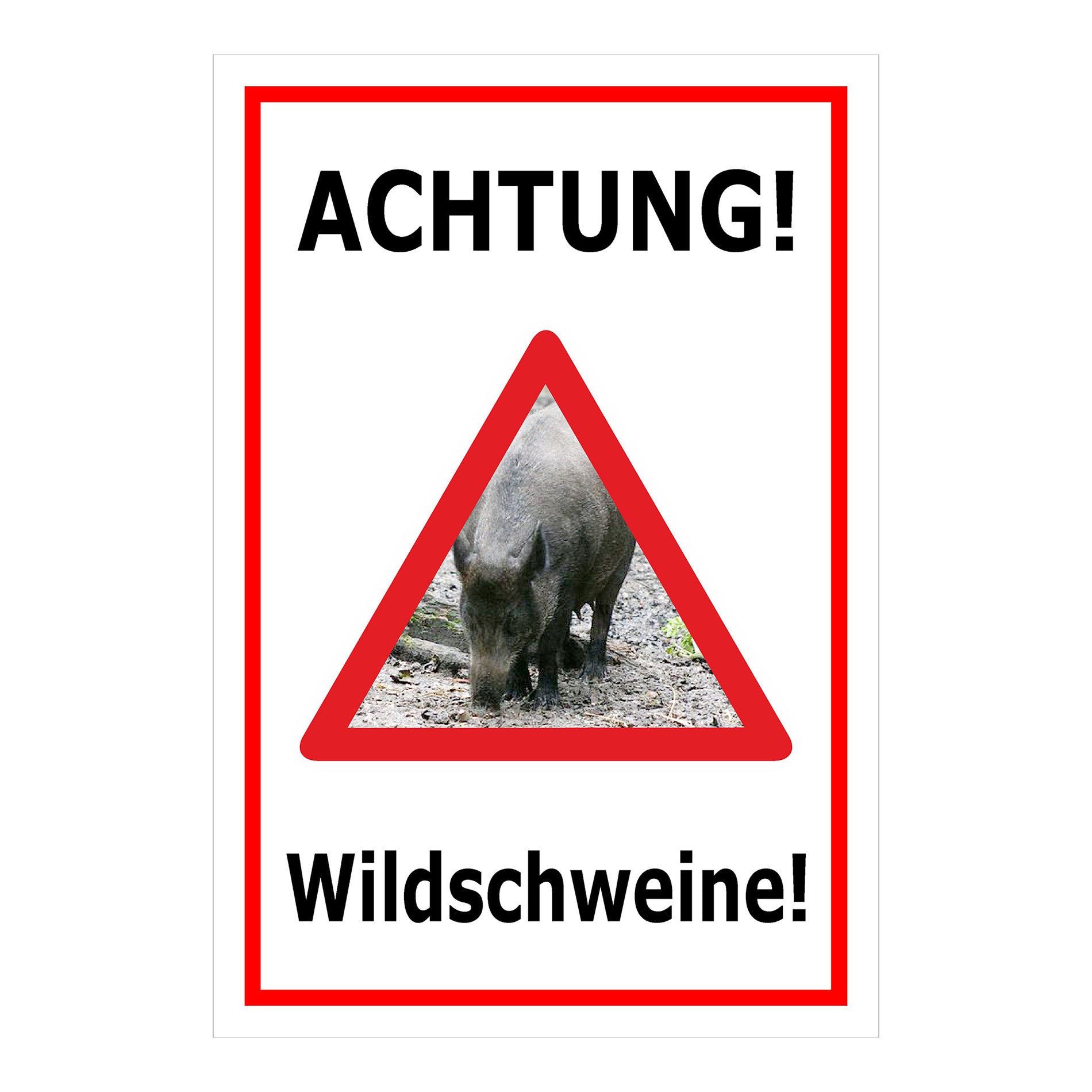 Schild Achtung Wildschweine Warnhinweis mit Wildschweinmotiv in Weiß mit rotem Rand