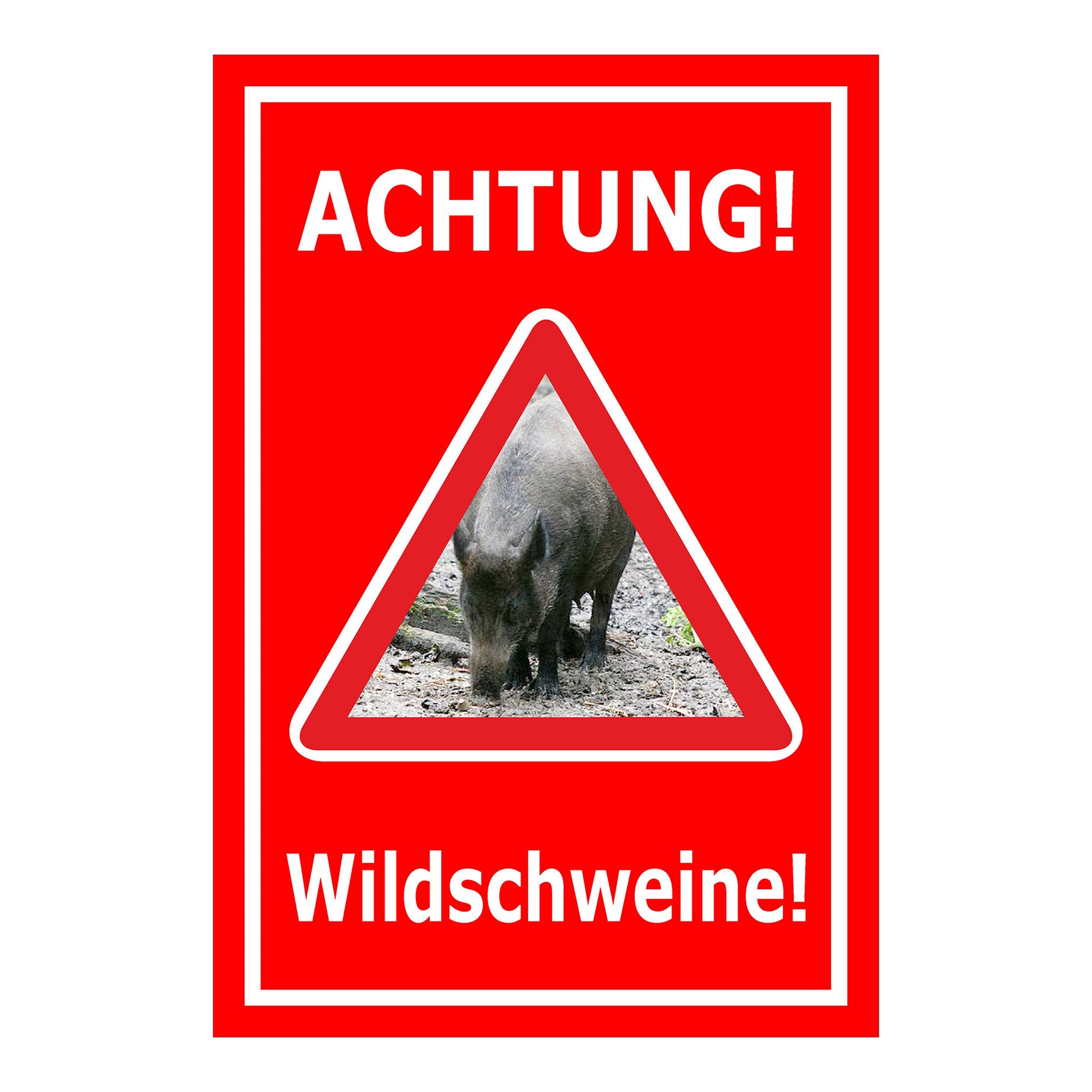 Schild Achtung Wildschweine Warnhinweis mit Wildschweinmotiv in Rot mit weißem Rand