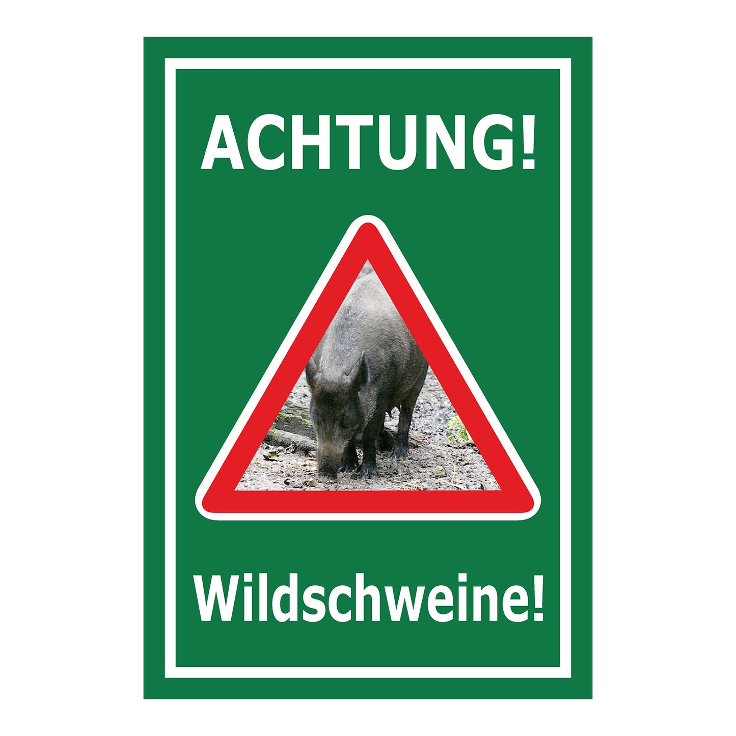 Schild Achtung Wildschweine Warnhinweis mit Wildschweinmotiv in Grün mit weißem Rand