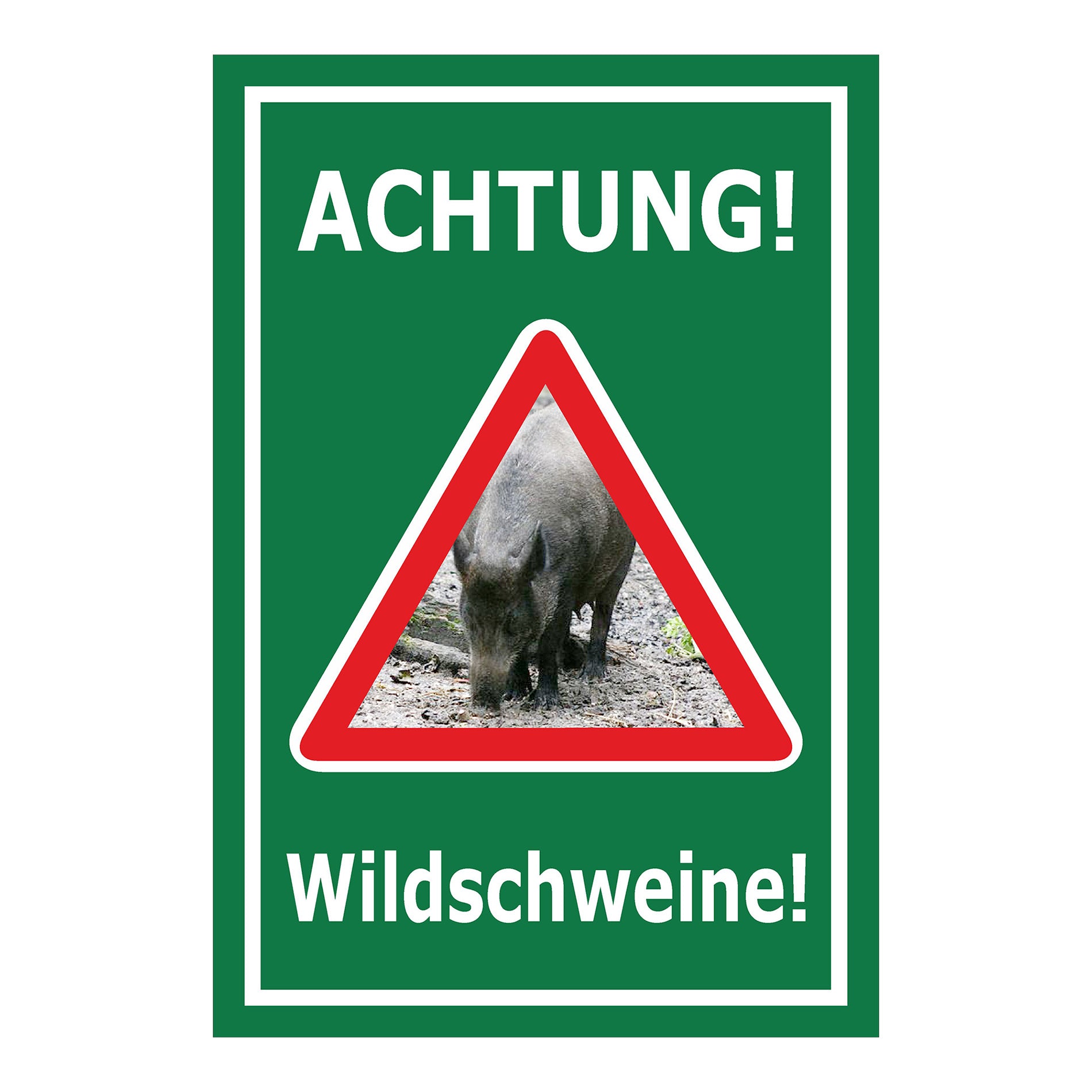 Schild Achtung Wildschweine Warnhinweis mit Wildschweinmotiv in Grün mit weißem Rand