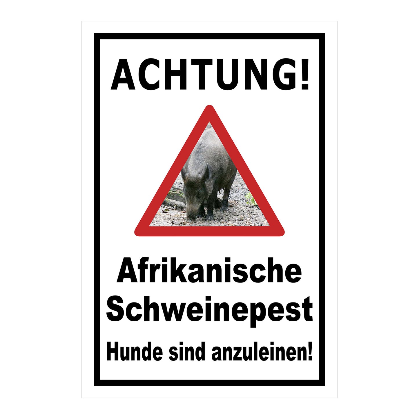 Schild Achtung Afrikanische Schweinepest Hunde sind anzuleinen in Weiß mit schwarzem Rand