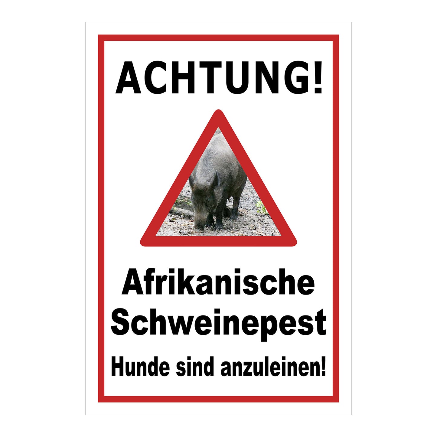 Schild Achtung Afrikanische Schweinepest Hunde sind anzuleinen in Weiß mit rotem Rand