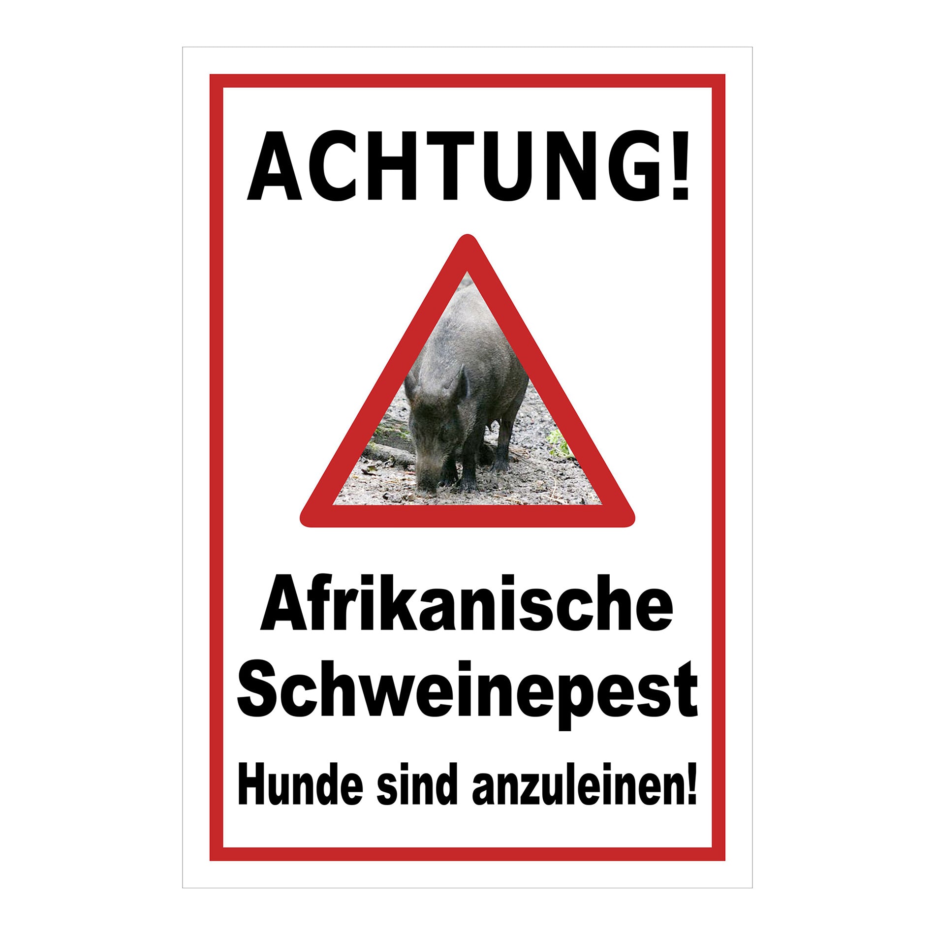 Schild Achtung Afrikanische Schweinepest Hunde sind anzuleinen in Weiß mit rotem Rand