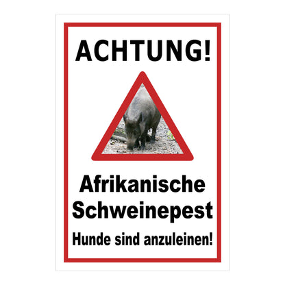 Schild Achtung Afrikanische Schweinepest Hunde sind anzuleinen in Weiß mit rotem Rand
