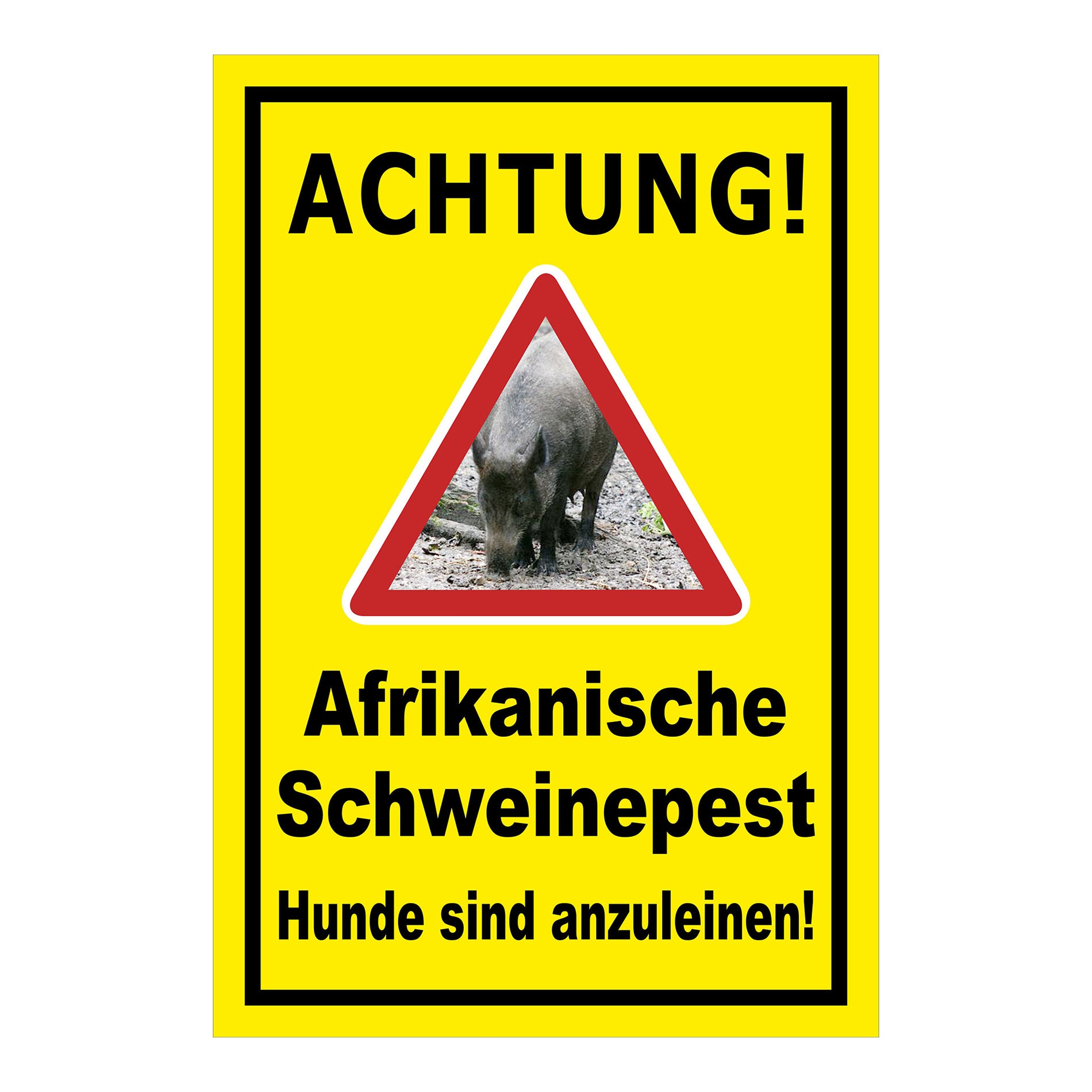 Schild Achtung Afrikanische Schweinepest Hunde sind anzuleinen in Gelb mit schwarzem Rand