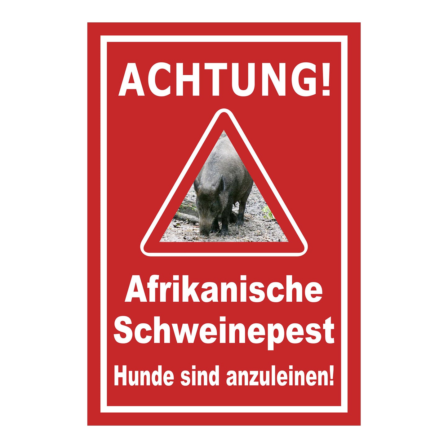 Schild Achtung Afrikanische Schweinepest Hunde sind anzuleinen in Rot mit weißer Schrift