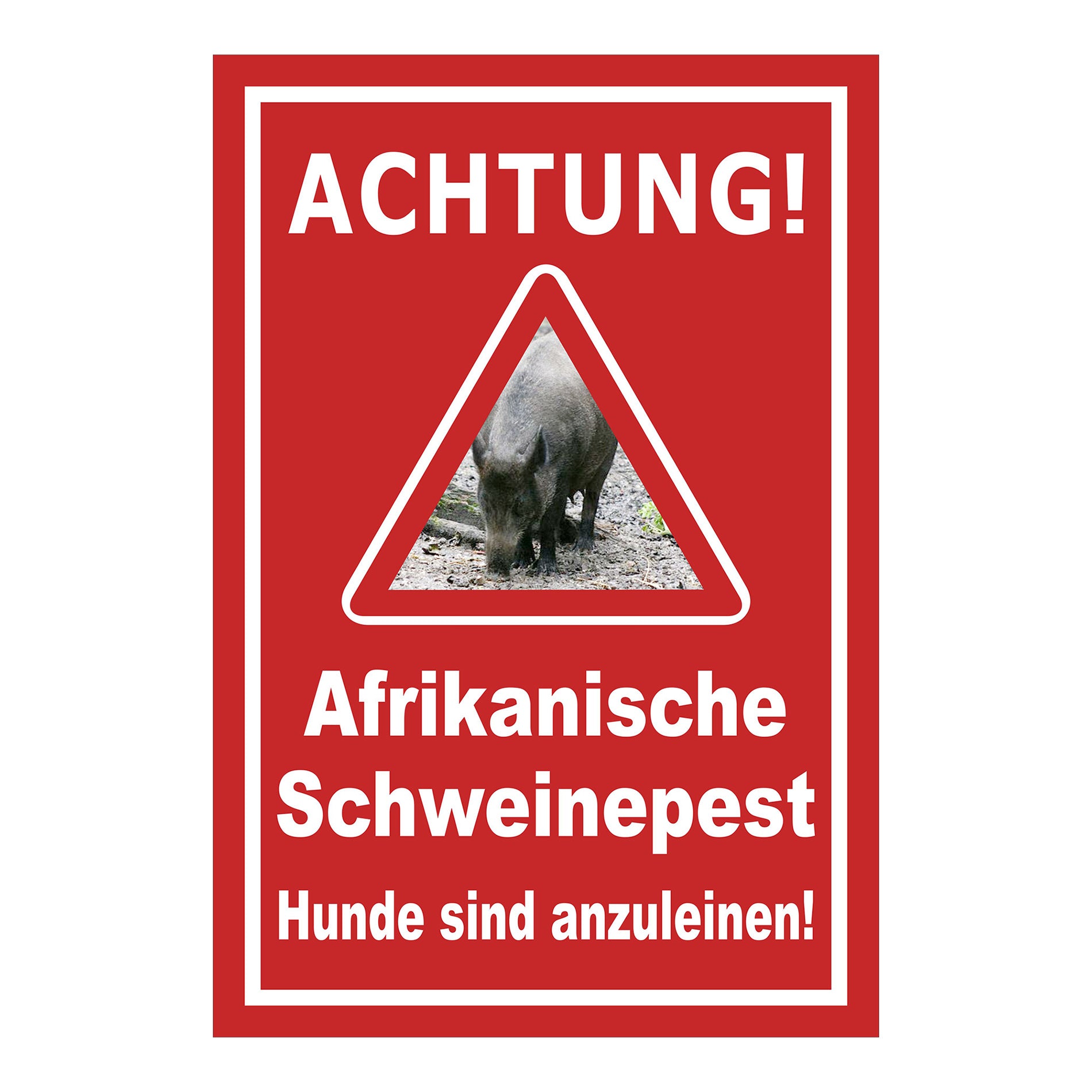 Schild Achtung Afrikanische Schweinepest Hunde sind anzuleinen in Rot mit weißer Schrift