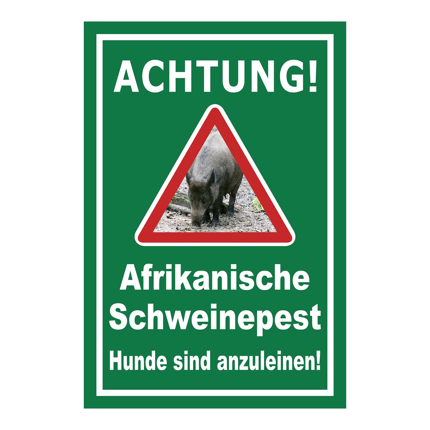 Schild Achtung Afrikanische Schweinepest Hunde sind anzuleinen in Grün mit weißer Schrift