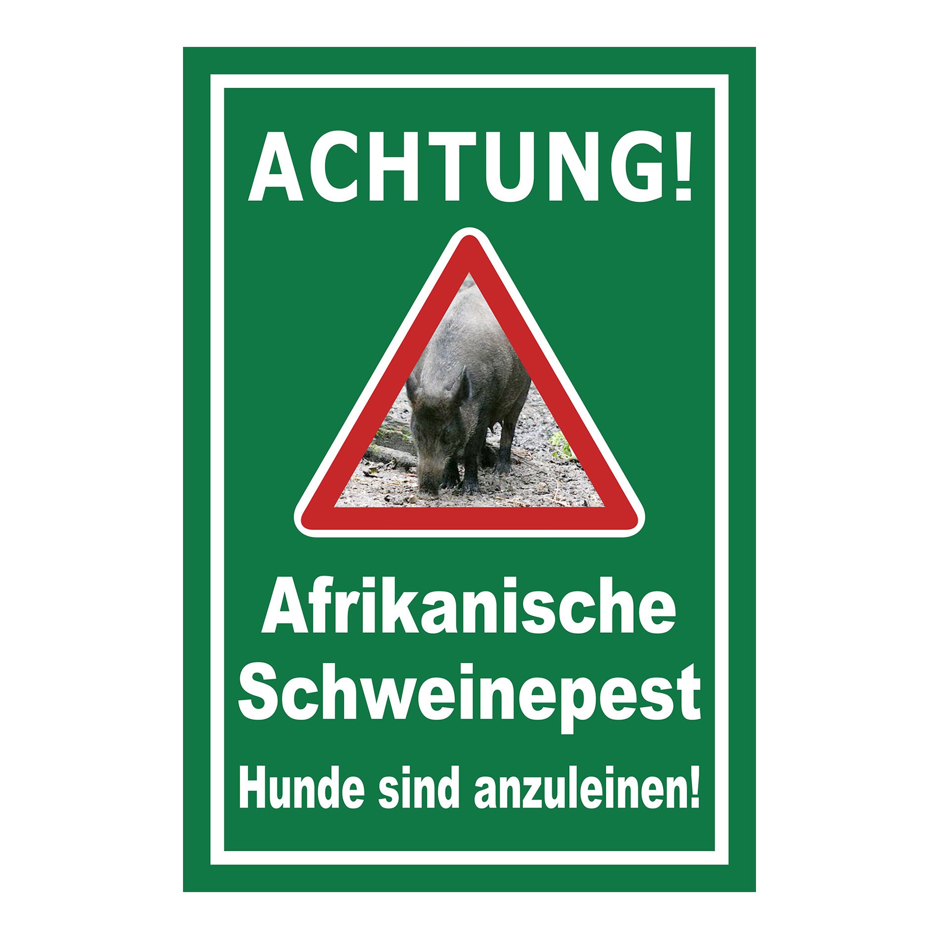 Schild Achtung Afrikanische Schweinepest Hunde sind anzuleinen in Grün mit weißer Schrift