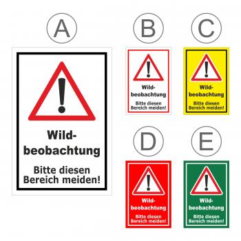 Wild-beobachtung