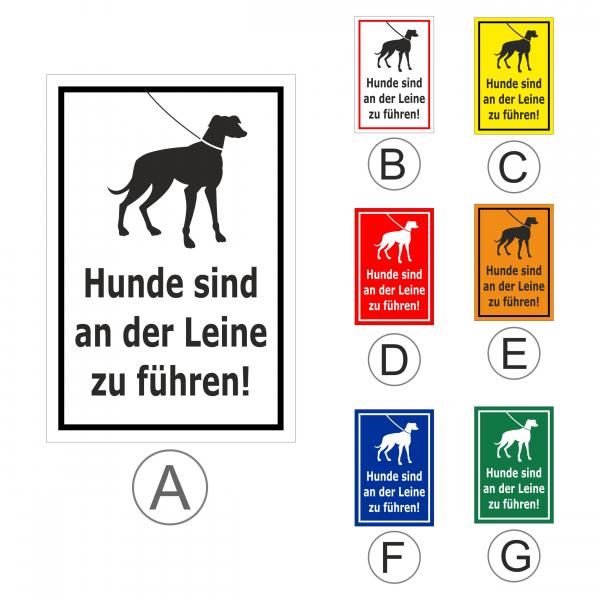 Hunde an Leine führen